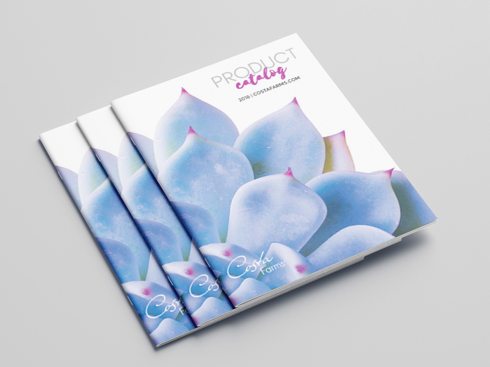 Seasonal product catalog